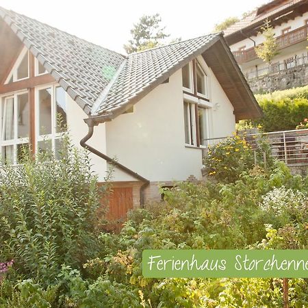 Ferienwohnung Storchennest Mit E-Ladestation Waldshut-Tiengen Exterior photo